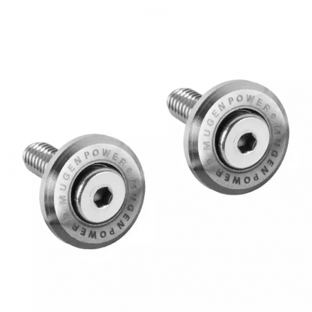 License Plate Frame Bolts Screws Silver